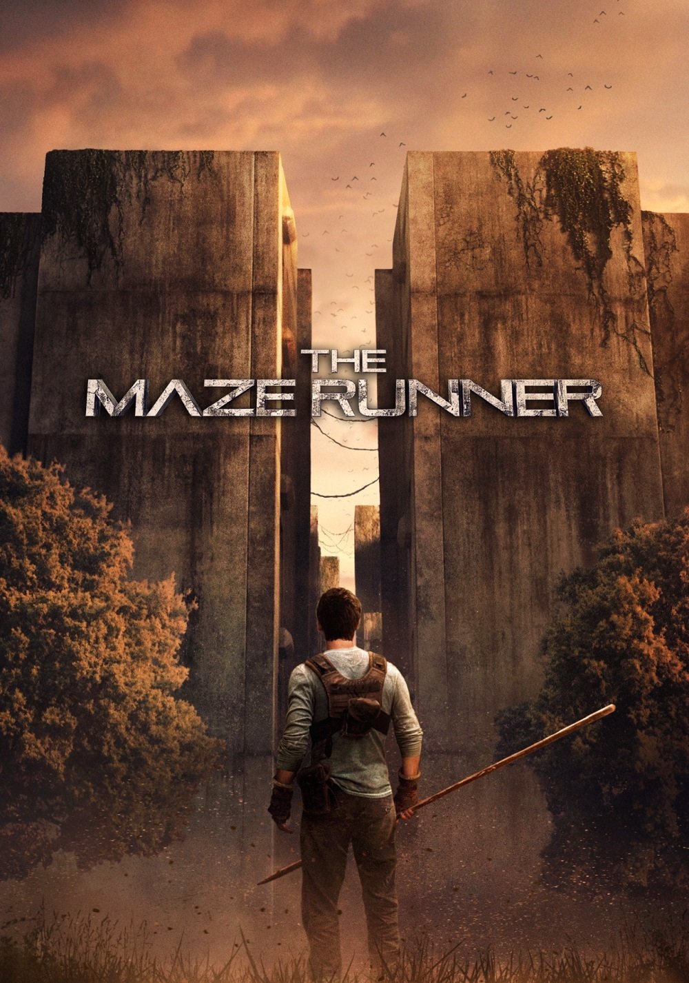 The Maze Runner